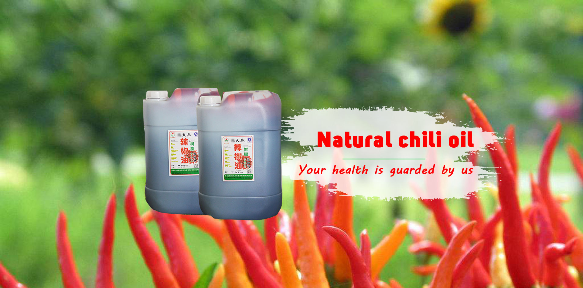 國(guó)內(nèi)首位EV行業(yè)